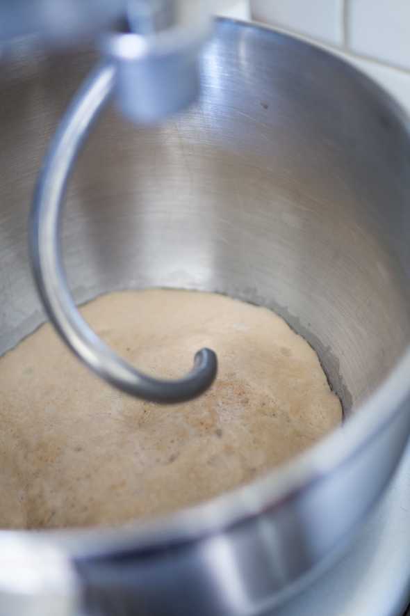 bowl filled with frothy yeast mixture